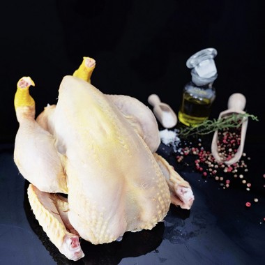 Poulet bio